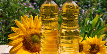wholesale Sunflower oil Refined Edible Sunflower High Quality Refined Sunflower Cooking Oil Directly From Factory - AGRONOVA - United States