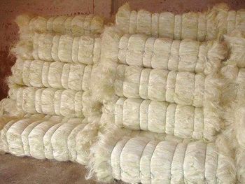 Sisal Fiber Grade Grade A Impurity Level 0-1% Fiber Origin Kenyan Moisture Content 10%-13% Width > 120 cm to 200 cm Color Natural White/cream White - diamond forever Africa limited - Kenya