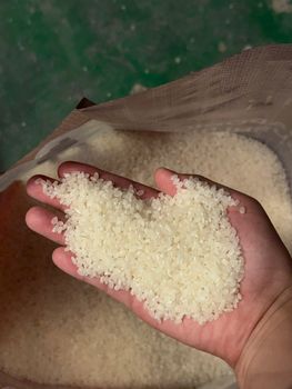 Japonica Rice - Selena - Vietnam