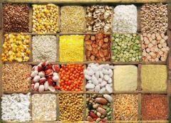 Product – product photo, Wheat Pasta products found from trusted suppliers, wholesalers, manufacturers & exporters Listing