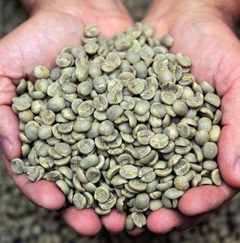 Agriculture, Food & Beverage – product photo, Food Beverage products found from trusted suppliers, wholesalers, manufacturers & exporters Listing