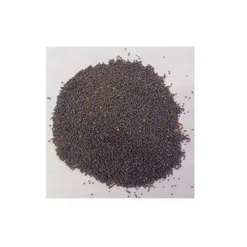 Canola seeds available for sale in bulk for oil extraction and animal feed industries - MASI TRADING GMBH - Germany