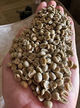coffee beans arabica and robusta  – product photo, Organic Arabica Green Coffee Beans products found from trusted suppliers, wholesalers, manufacturers & exporters Listing