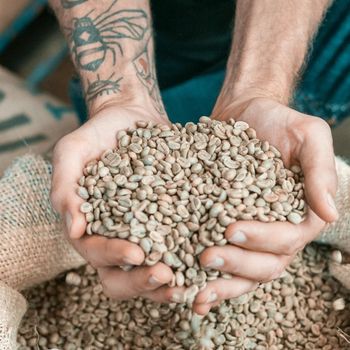 Coffee Beans Organic Green Specifications Green Beans Raw Coffee from CPW TRADE LTD Coffee Beans Organic Green Specifications Green Beans Raw Coffee - CPW TRADE LTD - United Kingdom