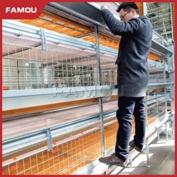 Famou Poultry Farming Equipment Prevent Escape H Type Broiler Farming Cage - Qingdao Famou Machinery Co., Ltd. - China