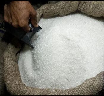 REFINED CANE SUGAR - SD AND SONS INC - United States