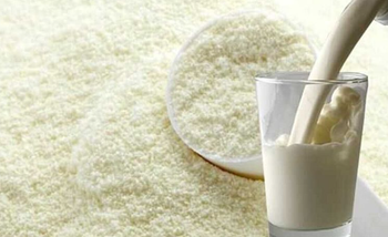 Donkey Milk Powder Form Powder Shelf Life Long Shelf Life Lactose Content Lactose Free Packaging Hygienic Packaging Storage Requirement Easy - Umer Ventures - India