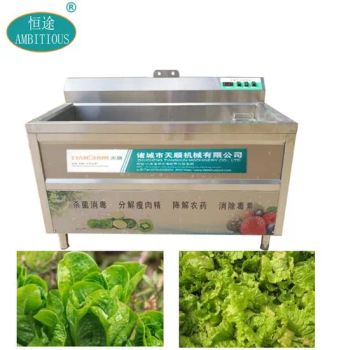 Kitchen Equipment Vegetable and Fruit Washing Machine - Zhucheng Tianshun Machinery Co., Ltd. - China