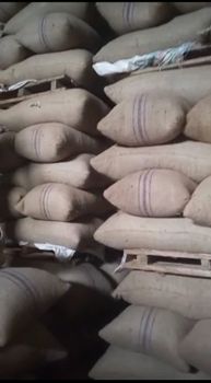 Cocoa beans – product photo, Fermented Cocoa Beans products found from trusted suppliers, wholesalers, manufacturers & exporters Listing