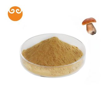 Premium Quality Selection Natural Organic Dried Boletus Edulis Porcini Mushroom Extract Powder - Zhejiang Tianquan Biotechnology Co., Ltd. - China