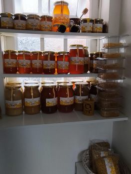 Nature Nate 100% Pure Raw Unfiltered Honey from DAEWKAEW PANTAMANG Co., Ltd Nature Nate 100% Pure Raw Unfiltered Honey - DAEWKAEW PANTAMANG Co., Ltd - Thailand