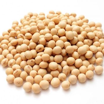 Discount Soybean from TREVEX INTER CO.,LTD Discount Soybean - TREVEX INTER CO.,LTD - Thailand