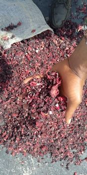 Hibiscus leave from Warkfors nigeria limited Hibiscus leave - Warkfors nigeria limited - Nigeria