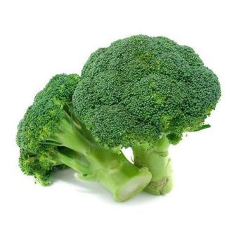 Broccoli (Indian Origin) - AGROCARTE EXIM ENTERPRISES PVT LTD - India