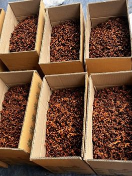Autumn Star Anise Admixture 1% Max Color Yellow-brown Broken Rate 10% Max Moisture Content 13.5% Max Flavor Strong, Warm, - Eximani Vietnam - Vietnam