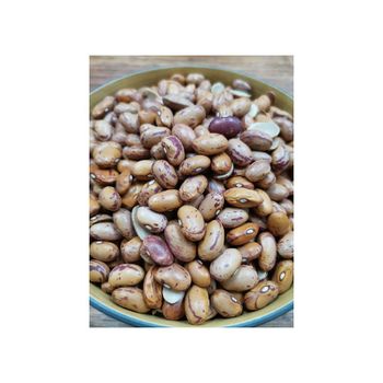 Wholesale sugar beans available for food chains and suppliers - HIGHPROFILE AGRICULTURE SERVICES LIMITED - Tanzania