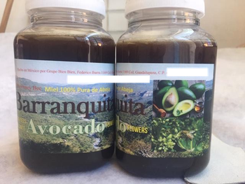 Mexico Organic Avocado Honey from piel Alpha SA de CV Mexico Organic Avocado Honey - piel Alpha SA de CV - Mexico