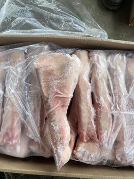 Frozen Pork Leg from BF GLOBAL TRADING (PTY) LTD Frozen Pork Leg - BF GLOBAL TRADING (PTY) LTD - South Africa