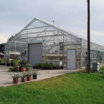 Film Greenhouse Greenhouse Frame Structure Large Multi-Span Plastic Greenhouse for Plants - Wuxi Biogreen Pharma Technology Co., Ltd. - China