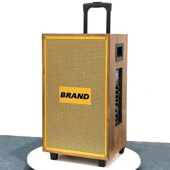 PRO Audio Speakers Outdoor Speakers Professional 15 Inch HiFi Audio - Guangzhou Shuanglong Audio Co., Ltd. - China