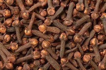 Cloves - IJAD AGRO BUSINESS - Tanzania
