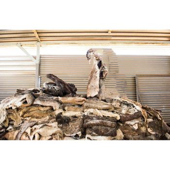 Wet Salted Donkey Hide High Quality Wet Salted Animal Hide for Leather Production. – product photo, Salted Donkey Hides products found from trusted suppliers, wholesalers, manufacturers & exporters Listing