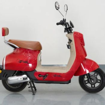 Electric Bicycle 350W 48V Electric City Bike for Adult - Hebei Naqiang Automobile Industry Co., Ltd - China