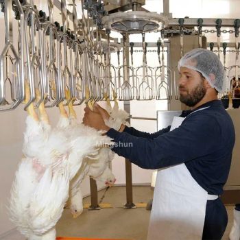 Durable Chicken Slaughtering Equipment for Chickens and Other Poultry - Shandong Mingshun Intelligent Equipment Co., Ltd. - China