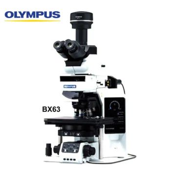 Olympus Bx63 Auto Laboratory Electronic Digital Cheapest Biological Fluorescence Microscope - Aiyichen (Guangzhou) Technology Co., Ltd. - China