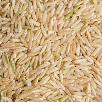 Natural Organic Crop Brown Rice Export Markets Secure Packaging And Quality Control By Experienced Suppliers - malter group - Tanzania