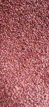 Bean, Nut & Seed – product photo, Soya Bean Seed products found from trusted suppliers, wholesalers, manufacturers & exporters Listing