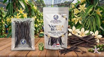 Tapioca Starch Premium/Medium/Low Grade Origin Indonesia Purity 100% Pure (no Split Ends, No Mold, No Rot) Features Gluten-Free, Lactose-Free, Organic, Vegan - PT. Kalisabuk Lintas Samudera - Indonesia