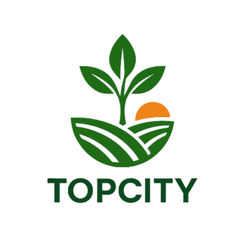 Top-City Enterprises Ltd