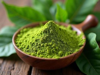 Moringa - Savannah Source Global Trade Ltd - Kenya
