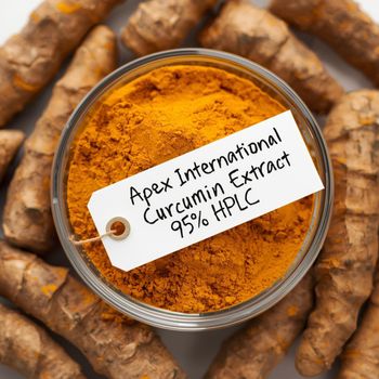 Curcumin Extract 95 Hplc, Curcumin Extract By 95 Hplc Turmeric Extract 95 Hplc, Curcumin 95 Hplc ,Turmeric 95 Hplc, Turmeric, Curcumin, Hplc Extract, Turmeric Extract 95 Hplc Bulk Supplier From India,Curcuma longa Extract, Curcuma longa, Curcumin Extract 95 Hplc Bulk Supplier From India - APEX INTERNATIONAL - India