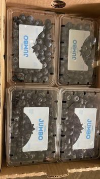 Blueberry Origin Mexico Minimum Order Quantity No Minimum Storage Temperature 0 - 3 Celsius Packaging Dependant On Customer - Pomona - Mexico