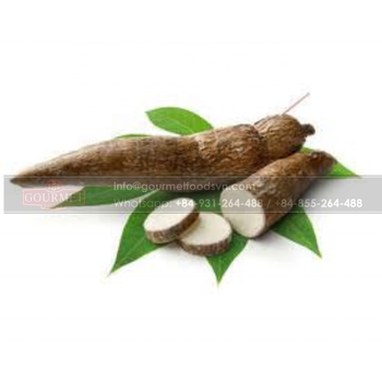 Cassava Root Rich In Calories, Carbohydrates And Iron, Tapioca, Is A Rich Source Of Energy - GOURMET FOODS INTERNATIONAL COMPANY LIMITED - Vietnam