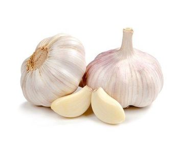 Fresh Organic Garlic from DAEWKAEW PANTAMANG Co., Ltd Fresh Organic Garlic - DAEWKAEW PANTAMANG Co., Ltd - Thailand