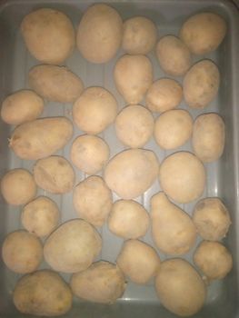 Potato, onion Organic Yes Features Other Freshness Level Fresh Degree of Processing Blanched - Silver stone - Pakistan