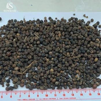 Bulk ALL GRADES BLACK PEPPER Pepper Wholesale High Quality 500 G/L 550 G/L Origin Poivre Noir from Smart Agri GmbH Bulk ALL GRADES BLACK PEPPER Pepper Wholesale High Quality 500 G/L 550 G/L Origin Poivre Noir – product photo, Ceylon Black Pepper products found from trusted suppliers, wholesalers, manufacturers & exporters Listing