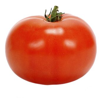 Fresh Beef Tomato, Cherry Tomato, Fresh Plum Tomatoes for Sale. - A & F Supplies Limited - Global