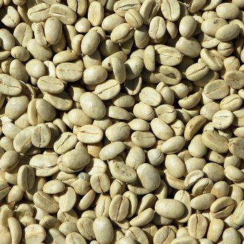 Arabica and Robusta Green Coffee Kenya – product photo, Arabica Coffee Powder products found from trusted suppliers, wholesalers, manufacturers & exporters Listing