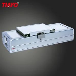 Dustproof 100mm 2500mm Stroke Heavy Load Ball Screw Linear Guide Rail with 23 NEMA Step Motor - Hunan Tianyou Precision Technology Co., Ltd. - China