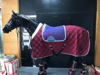 Complete Equestrian Horse Gear Set for Comfort and Protection - Xiamen Renssen Industry and Trade Co., Ltd - China