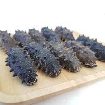 Best selling Dried Sea Cucumber for sale Sea Cucumber Dry Sea Cucumber - GOLD COMERCIO E SERVICOS EIRELI - Brazil
