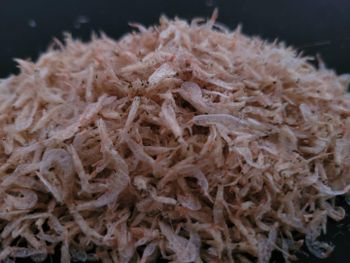 dried shrimp – product photo, Dried Paprika Powder products found from trusted suppliers, wholesalers, manufacturers & exporters Listing