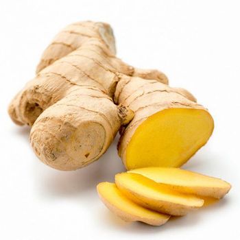 Fresh Ginger - W&E HOLDING BV - Netherlands