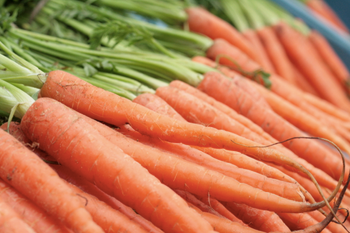 Fresh Carrot from BS International Fresh Carrot - BS International - India