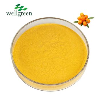 13 Years Factory Supplier 100% Natural Sea Buckthorn Berries Extract Juice Powder - Wellgreen Technology Co., Ltd - China