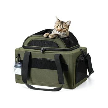 Green Waterproof Small Animals Oxford Zipper Pet Cat Carrier Bag Travel Products - Wenzhou Mengdian Pet Products Co., Ltd. - China